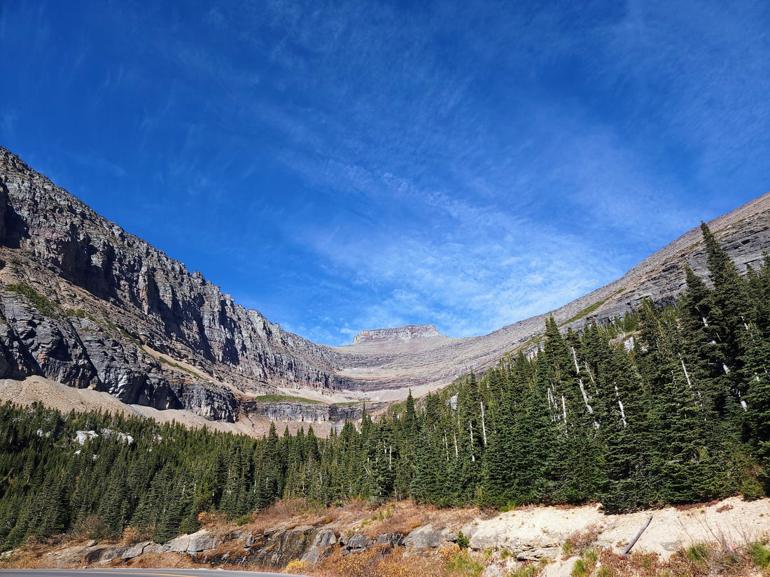 Meet Montana:  Story Won’t Save You