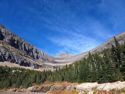 Meet Montana:  Story Won’t Save You