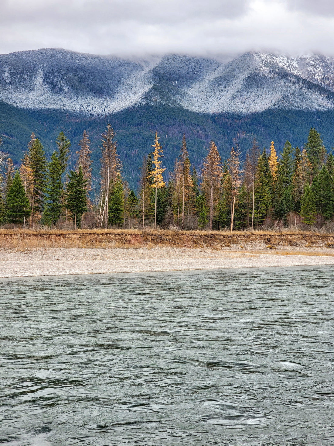 Meet Montana: Fuck Your Story, Here’s Reality