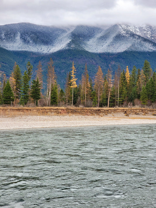 Meet Montana: Fuck Your Story, Here’s Reality