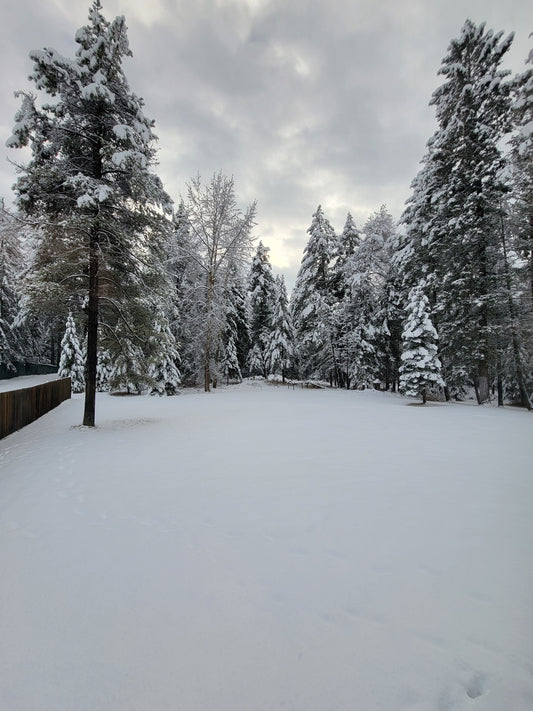 U: breathing as the Universal exchange