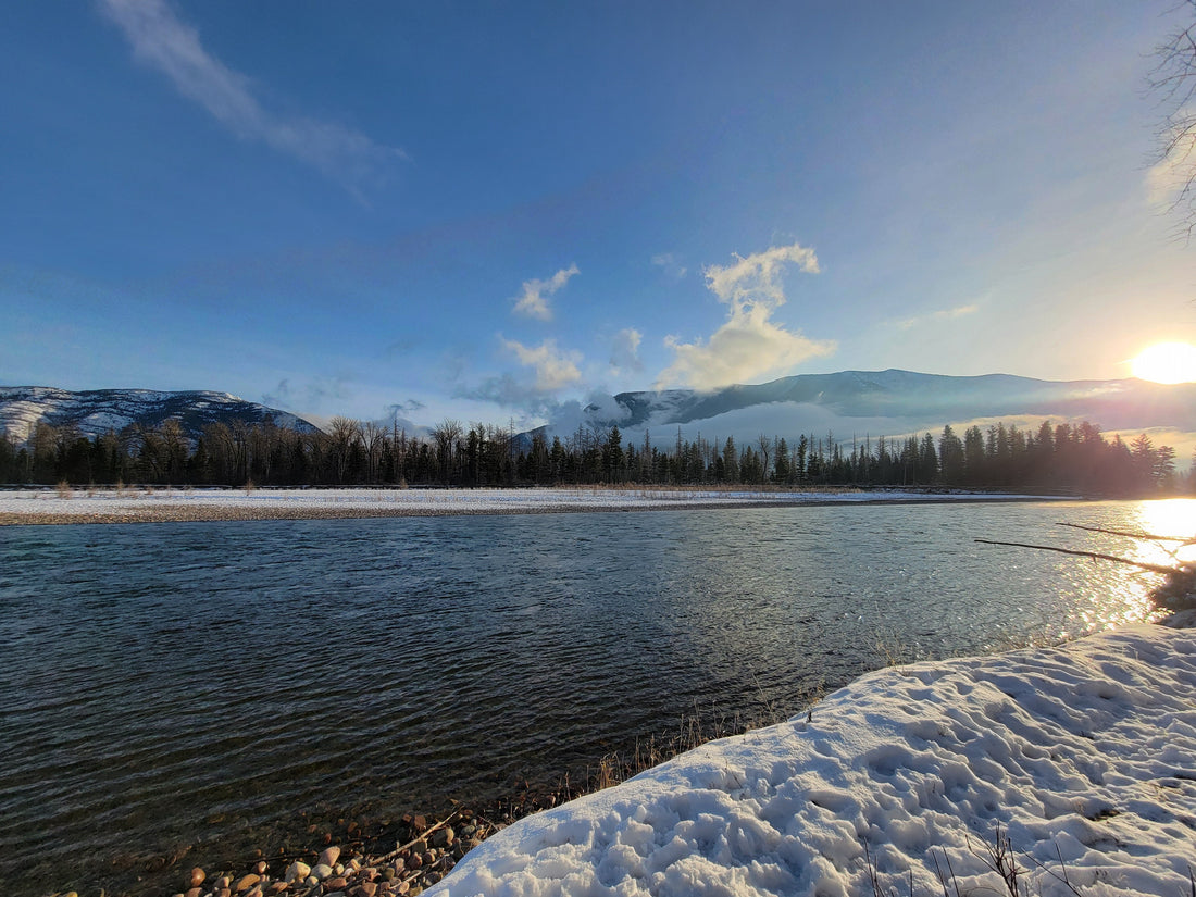 Meet Montana: When Love Is Hungry, It Hides Itself In Rescue